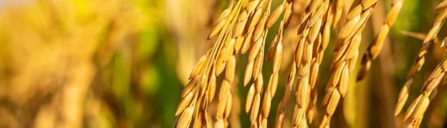吉林省家禾农业发展-wwwBET365·(vip认证)-百度百科